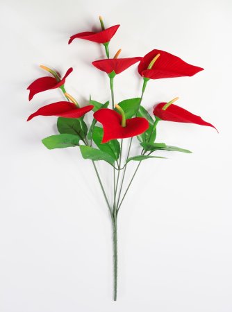 Букет калл 7 веток