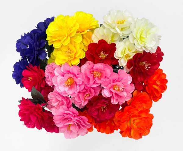 Георгин "Жоржина" 7 цветков