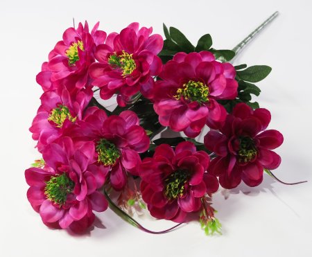 Георгин "Василиса" 9 цветков