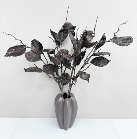 Ветка с крупными пожухлыми листами