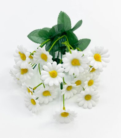 Ромашка "Медовая белая" 22 цветка