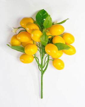 Веточка лимона от магазина KALINA являющийся официальным дистрибьютором в России 
