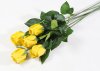 Роза с латексным покрытием малая желтая