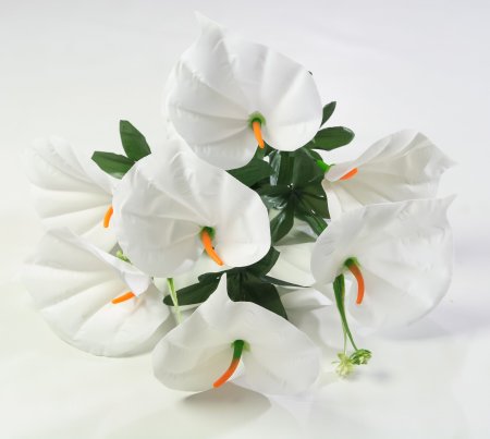 Букет калл белый бархат 8 цветков