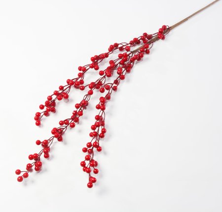 Ветка с красными ягодками