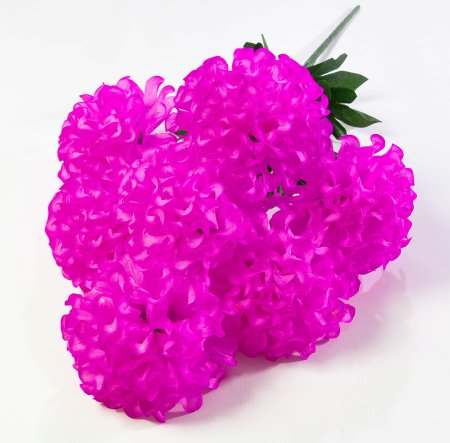 Шафран махровый 7 веток