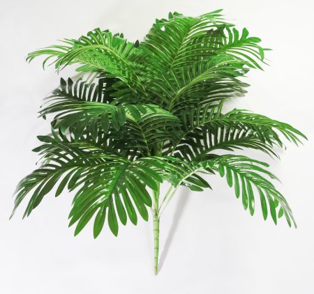 картинка Ветка пальмы крупная от магазина KALINA