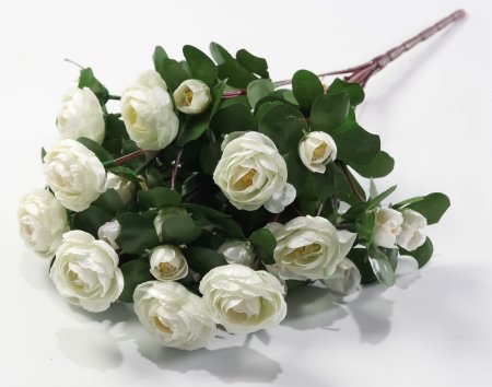 Ранункулюс 36 цветков