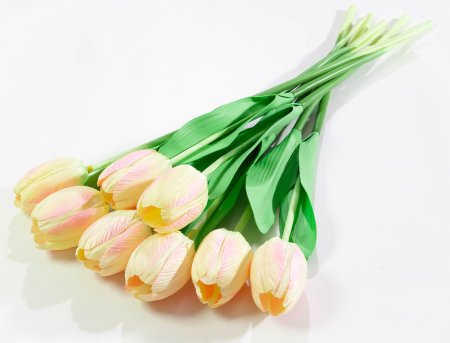 9526af4a565b45515812ea7c5191139d