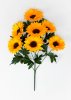 Подсолнух "Цвель"7 цветков