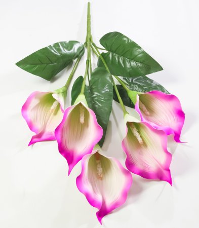 Букет калла 5 цветков