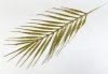 Лист пальмы золото