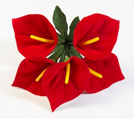 Антуриум садилка 5 цветков