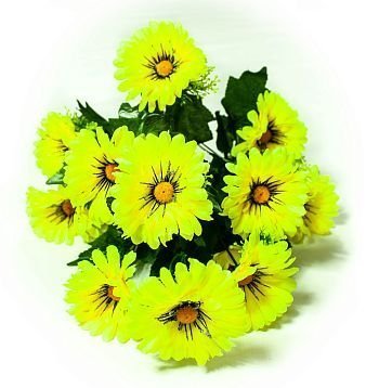 Букет ромашек "Реснички". 13 веток 13 цветков от магазина KALINA являющийся официальным дистрибьютором в России 