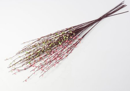 Ветка с почками