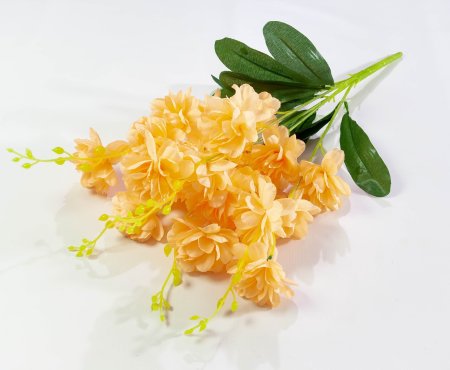 Орхидея "Загадка" 5 веток