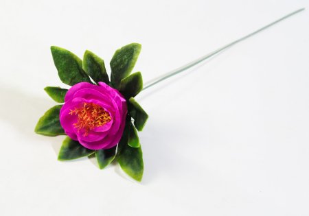 Роза "Даша" штучка