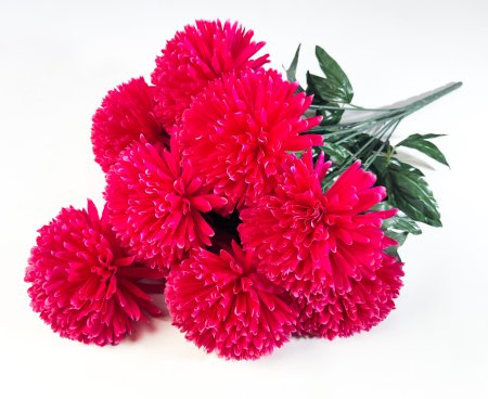 Букет хризантем " Супер гигант" 9 цветков