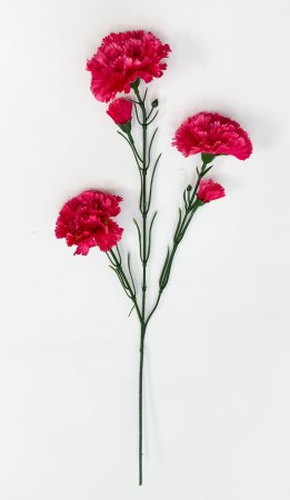 Гвоздика ветка "Степ" 3 цветка 2 бутона разноцветная