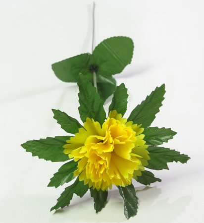 Гвоздика резная