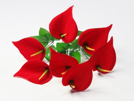 Букет калл 7 веток