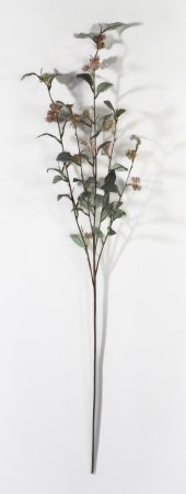 картинка Ветка декоративная "Фантом" от магазина KALINA