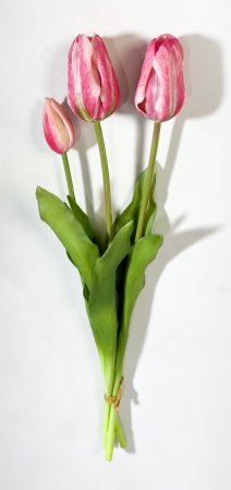 Тюльпан Пепл Принц розовый (2+1)