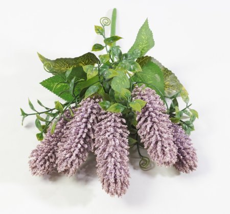 Букет Секлетия пюсовый