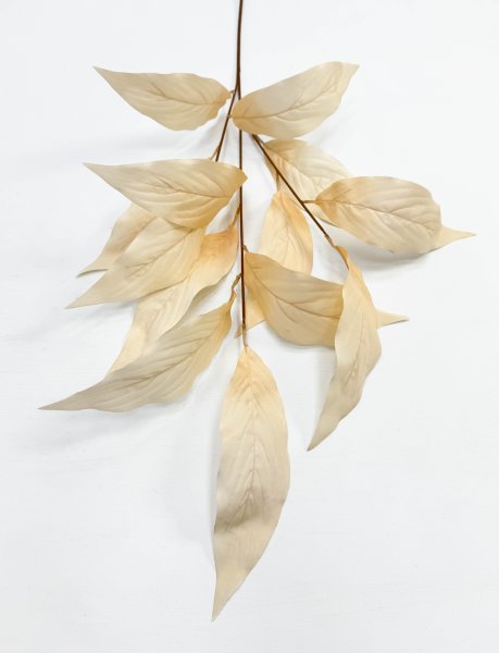 Аглаонема декоративная светло-бежевая