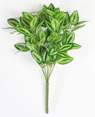 картинка Традесканция комнатная от магазина KALINA