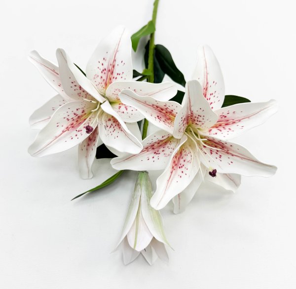 Ветка лилий "Сибирь" в крапинку