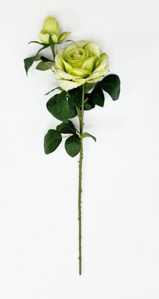 Роза "Булевард" зеленая