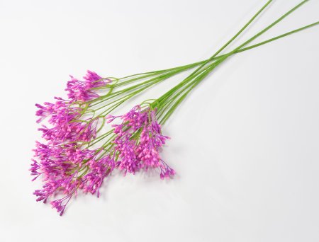 Ветка декоративная «Искусство теней»