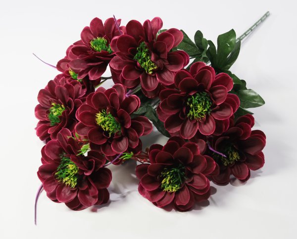 Георгин "Василиса" 9 цветков