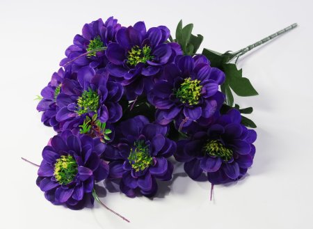 Георгин "Василиса" 9 цветков