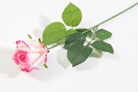 Роза с латексным покрытием гибридная