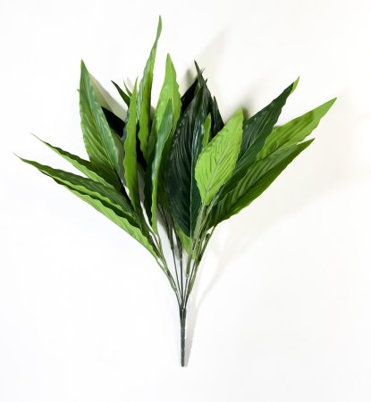 картинка Аглаонема малая 7 веток 21 лист от магазина KALINA