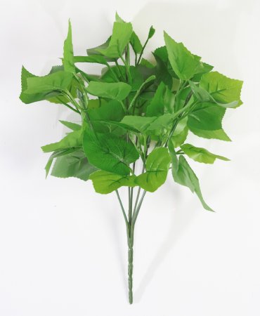 картинка Ветка зелени с виноградным листом от магазина KALINA