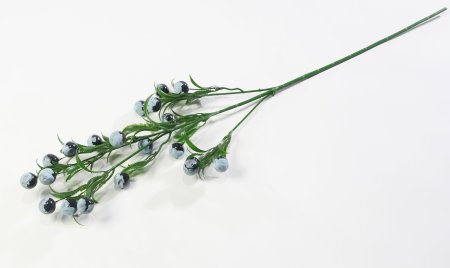 Ветка крупных черных ягод