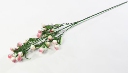 Ветка крупных розовых ягод