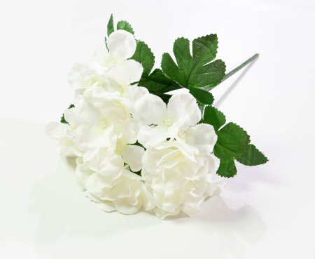 5a403cf6474219ff6a296ceb834b93ea