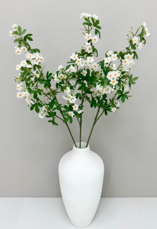 Цветущая вишня "Зефирное утро" белая