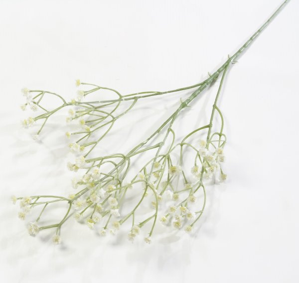 Ветка Гипсофилы