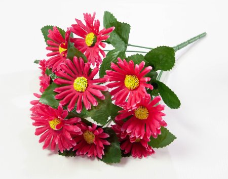 Букет ромашек 10 веток