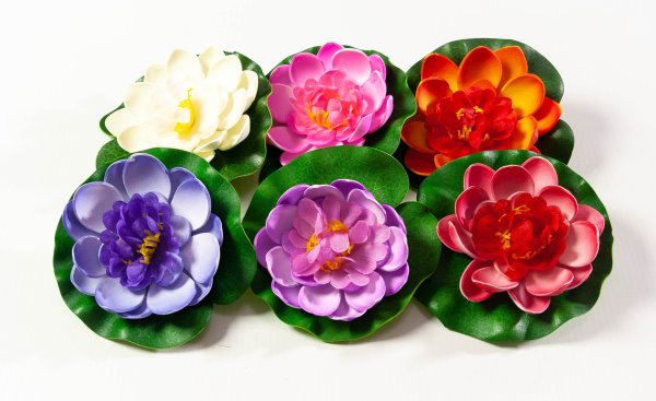 Кувшинка  маленькая