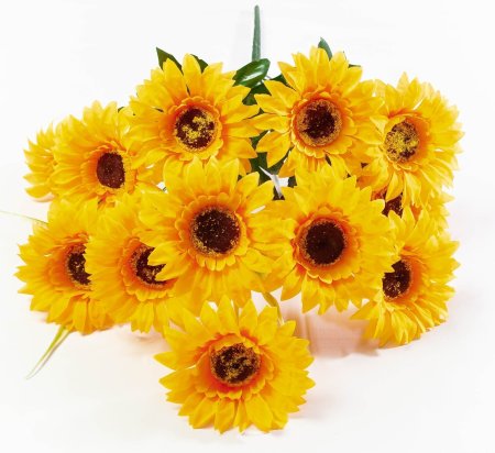 Подсолнух 12 цветков