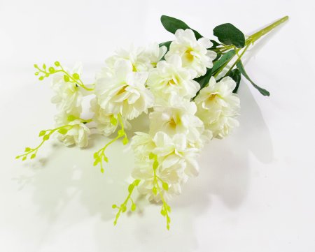 Орхидея "Загадка" 5 веток