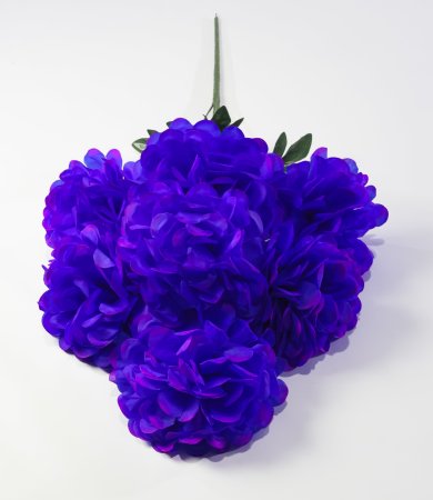 Букет шафрана "Великан" 7 цветков