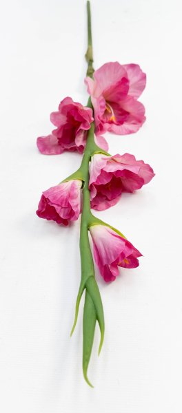 Гладиолус "Цветочный калейдоскоп" розовый