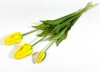 Тюльпан "Пепл Принц" желтый (2+1)